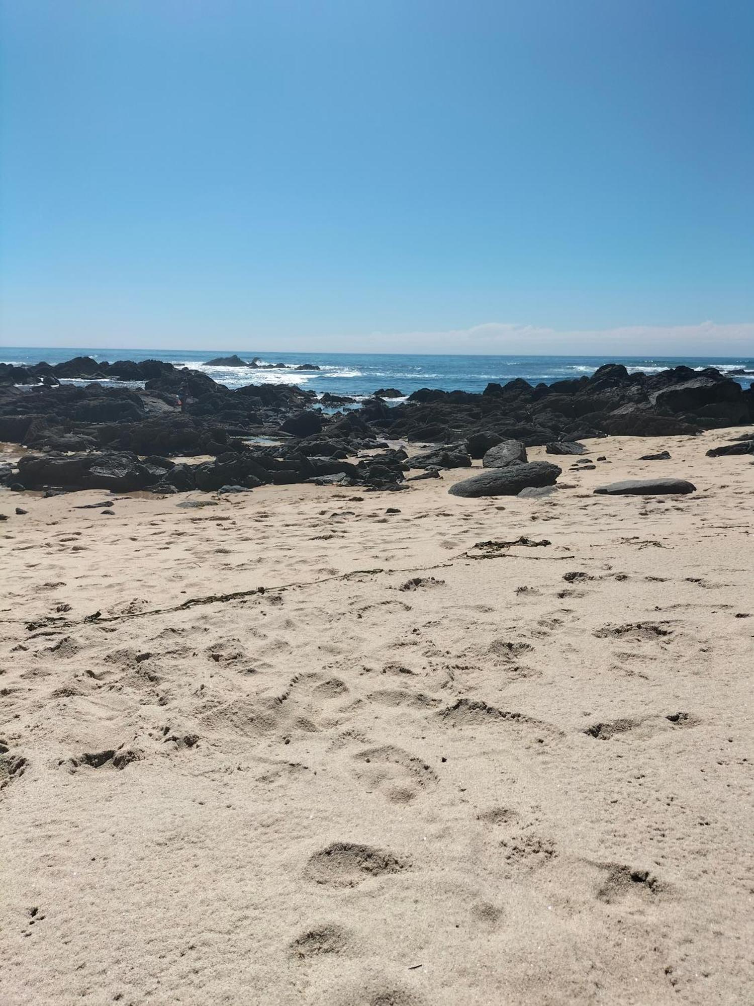فيلا Casa De Madeira E Pedra أفيفي المظهر الخارجي الصورة